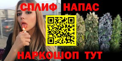 a pvp Гусев