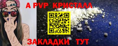 спиды Гусиноозёрск