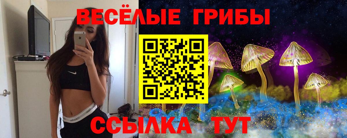 Псилоцибиновые грибы прущие грибы  Вход с VPN  Кирово-Чепецк  Псилоцибиновые грибы Magic Shrooms 